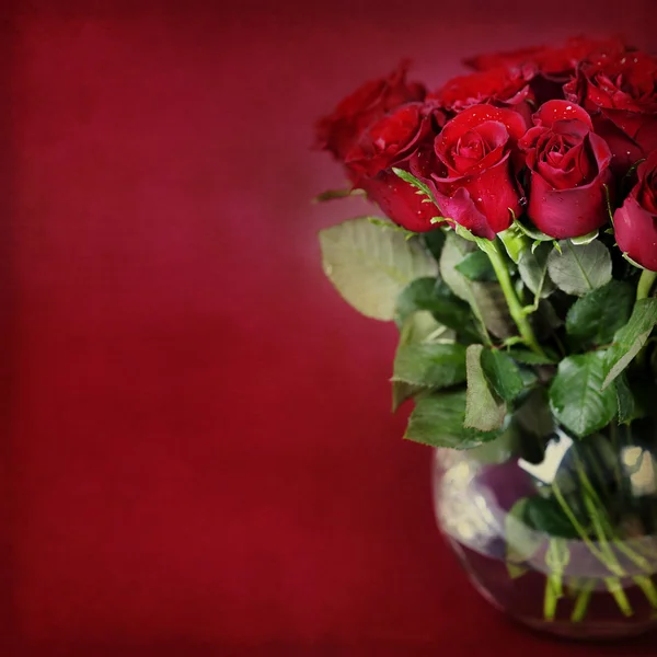 Punaiset ruusut — kuvapankkivalokuva