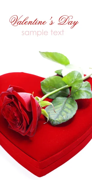 Красная коробка в форме сердца и розы — стоковое фото