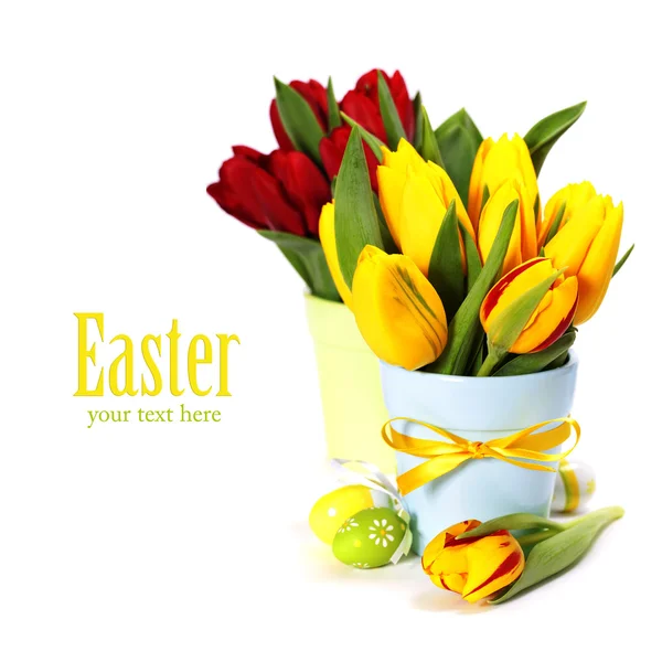 Tulipanes de primavera con huevos de Pascua —  Fotos de Stock
