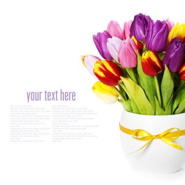 Fresh tulips clipart