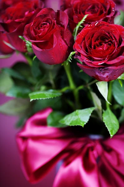 Vörös rózsák — Stock Fotó
