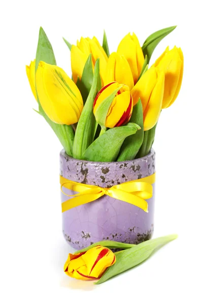 Tulpen — Stockfoto