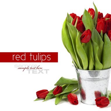 Red tulips clipart