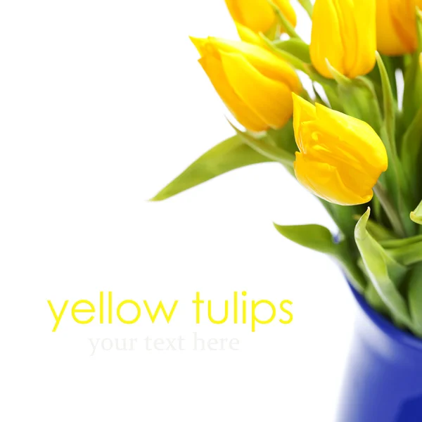 Tulipas amarelas — Fotografia de Stock