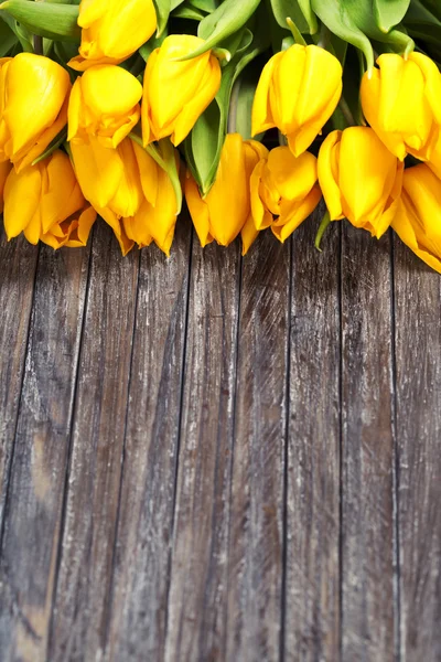 Tulipanes amarillos —  Fotos de Stock