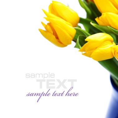 Yellow tulips clipart