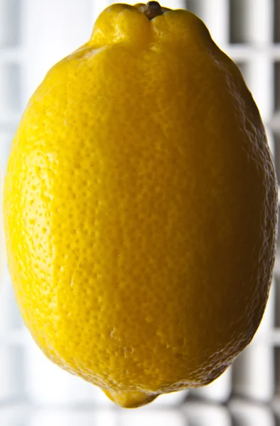 Φόντο λεμονιού — Φωτογραφία Αρχείου