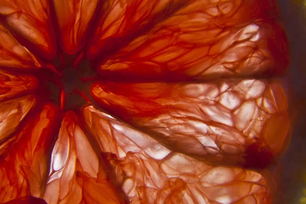 stock image Red grapefruit slice.