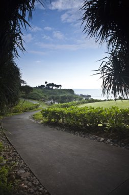 şaşırtıcı tropikal peyzaj. Endonezya - bali.