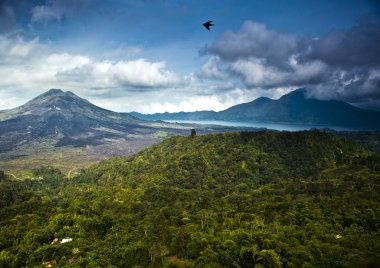 şaşırtıcı tropikal peyzaj. Endonezya - bali.