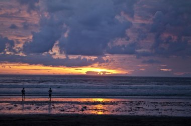 şaşırtıcı tropikal peyzaj. Endonezya - bali.