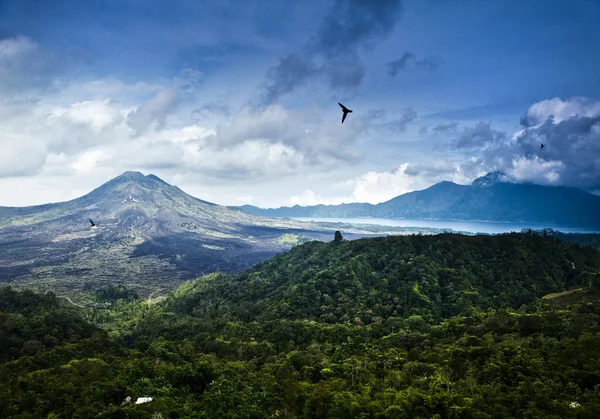 Paisagem tropical incrível. Indonésia - Bali . — Fotografia de Stock