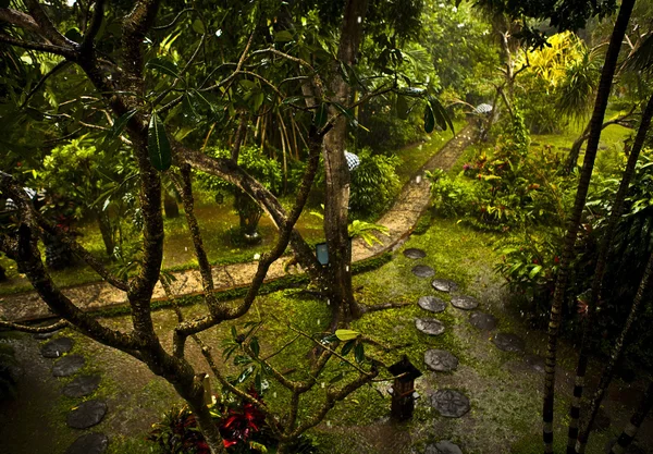 Удивительный тропический пейзаж. Индонезия - Бали . — стоковое фото
