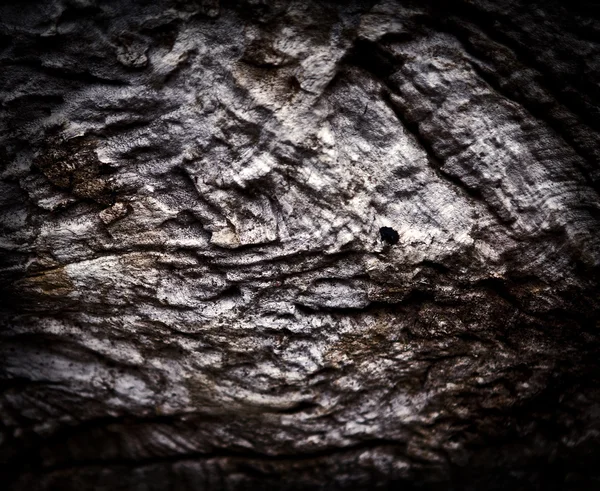 Fondo de madera vieja . — Foto de Stock