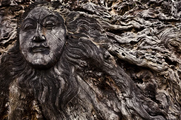 stock image Old wooden face on roots - conceptual background.