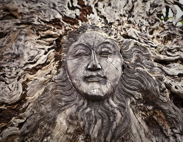 Vieux visage en bois sur les racines - fond conceptuel . — Photo