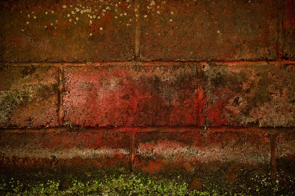 Grunge background of old stone texture. — Stock Photo, Image