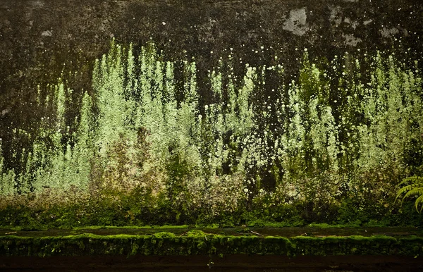 Soyut grunge arkaplanı — Stok fotoğraf