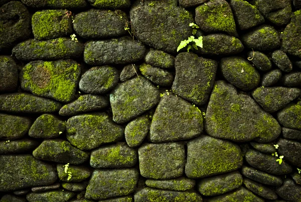 Рельефный фон старой каменной стены . — стоковое фото