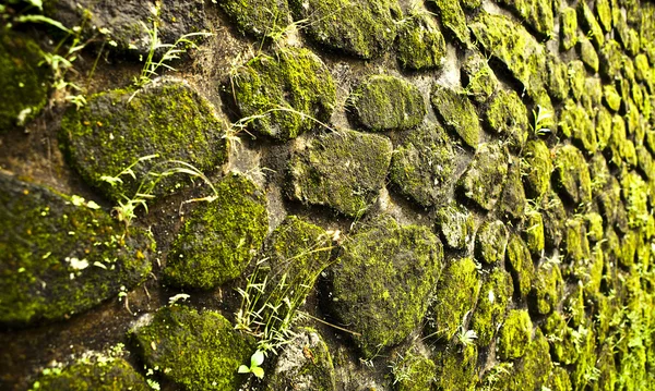 Гранжевий фон зі старої кам'яної текстури стін . — стокове фото