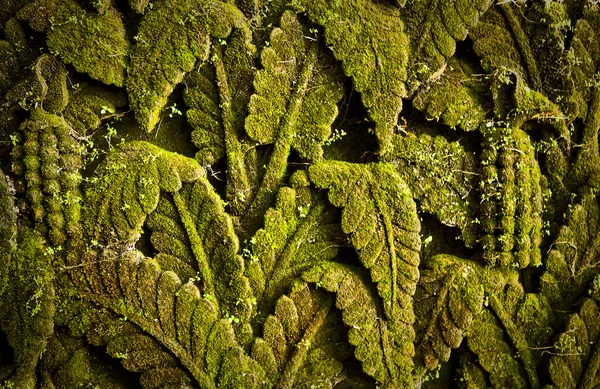 Grunge Hintergrund der alten Steinmauer Textur. — Stockfoto