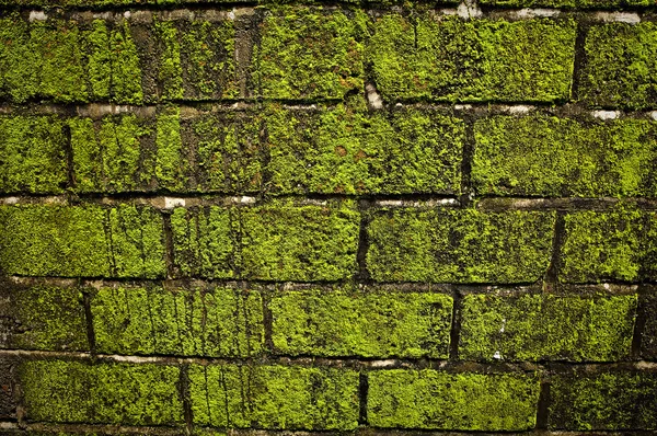 Grunge background of old stone wall texture. — Stock Photo, Image
