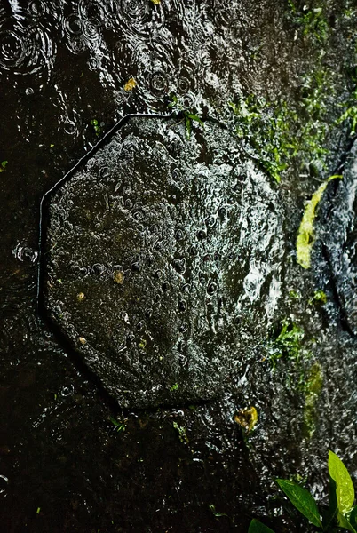 Empilement de cailloux noirs humides avec feuille verte fraîche — Photo