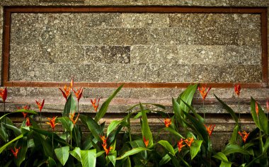 Old stone wall covered vegetation. Photo Background. clipart