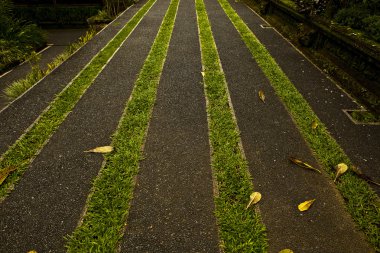 Yeşil zen Bahçesi. Damalı çim. arka plan fotoğraf.