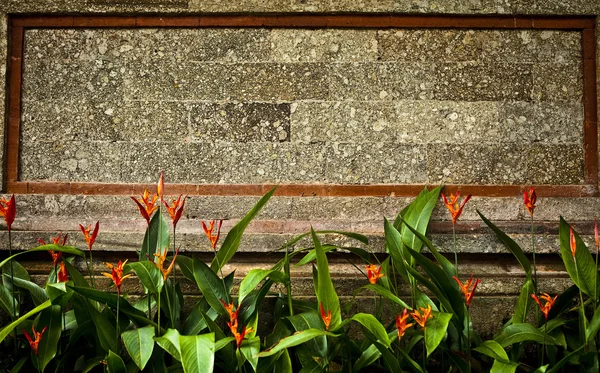 오래 된 돌 담 커버 식물입니다. 사진 배경. — 스톡 사진