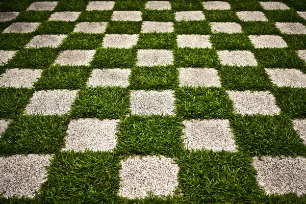 Gröna zen-trädgården. rutiga gräs. bakgrunden Foto. — Stockfoto