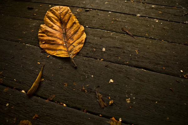 Höst löv över trä bakgrund. — Stockfoto