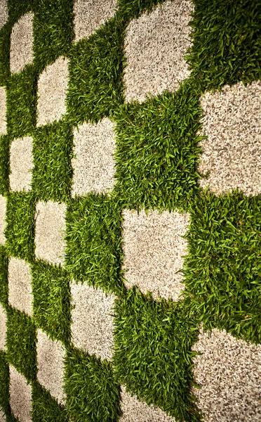Green Zen garden. Chequered Grass. Background photo. — Stock Photo, Image