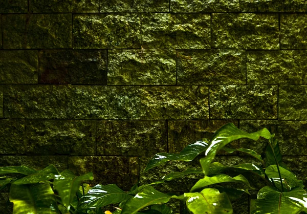 Stary kamienny mur pokryty roślinnością. tło obrazkowe. — Zdjęcie stockowe