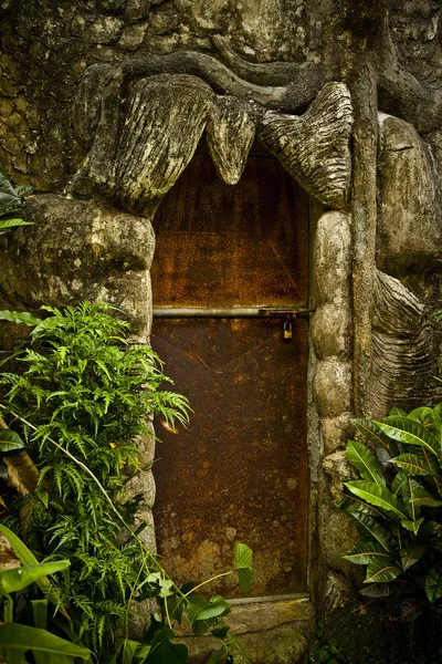Vieille porte en bois avec ornements — Photo