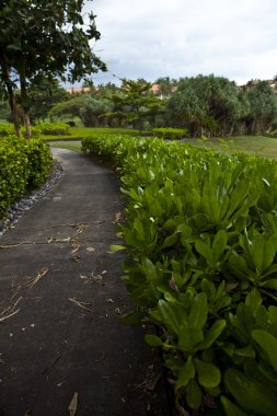 şaşırtıcı tropikal peyzaj. Endonezya - bali.