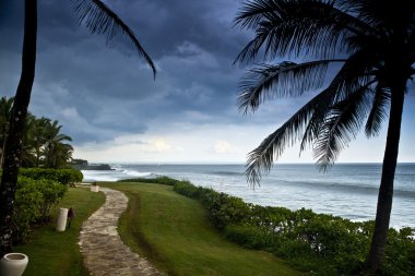 şaşırtıcı tropikal peyzaj. Endonezya - bali.