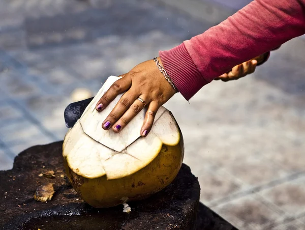 П'є кокосове — стокове фото
