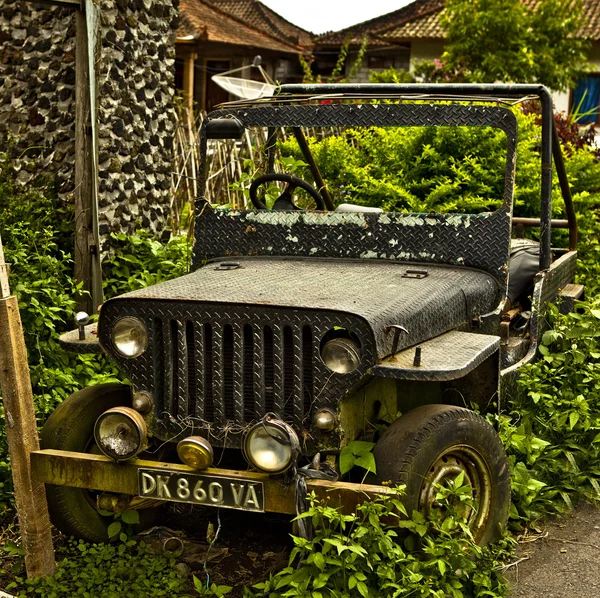 Gestrandeter Jeep im Gebüsch — Stockfoto