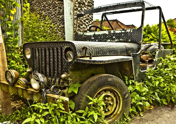 Izolované jeep v křoví — Stock fotografie