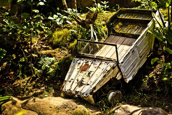 Jeep échouée dans les buissons — Photo