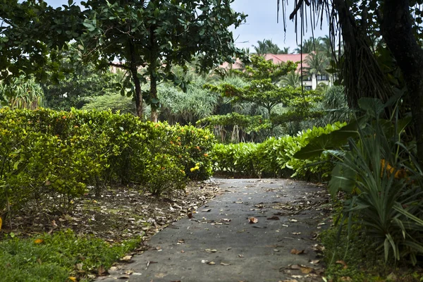 stock image Amazing tropical landscape. Indonesia - Bali.