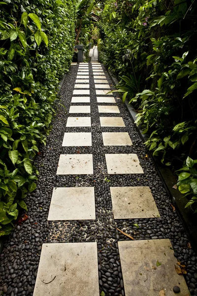 Pathway in a green park — Stock Photo, Image