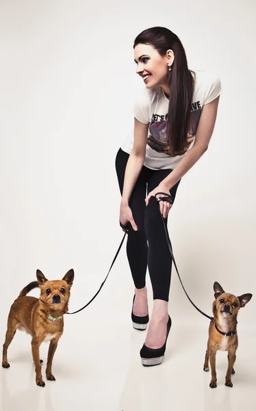 Χαρούμενος νεαρός ελκυστική γυναίκα με δύο σκυλί. — Φωτογραφία Αρχείου