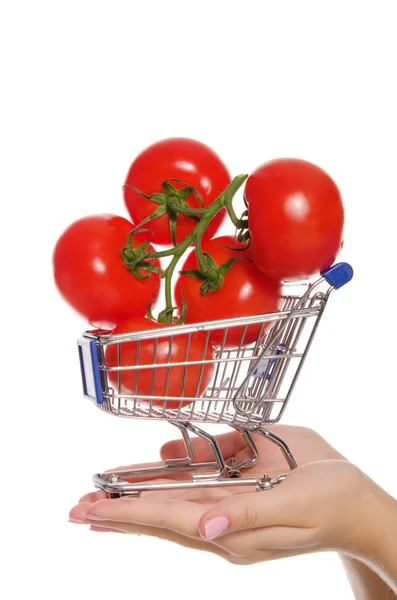 Branch with tomatoes in shopping trolley on palm — Stock Photo, Image