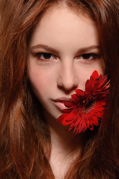 Kızıl saçlı kız ile diş kırmızı gerbera — Stok fotoğraf