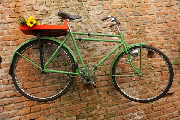 Bicicleta verde —  Fotos de Stock