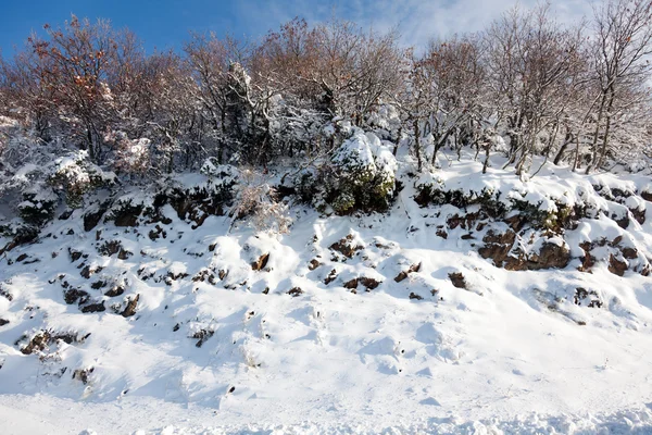 Snowy hillside — Stock Photo, Image