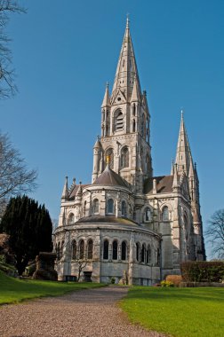 Saint Fin Barre's Cathedral clipart