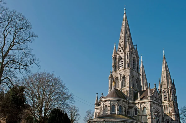 Saint Fin Barre'nın Katedrali — Stok fotoğraf